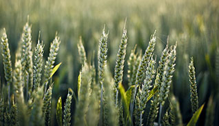 最实惠渠道的不停给对方打电话的软件